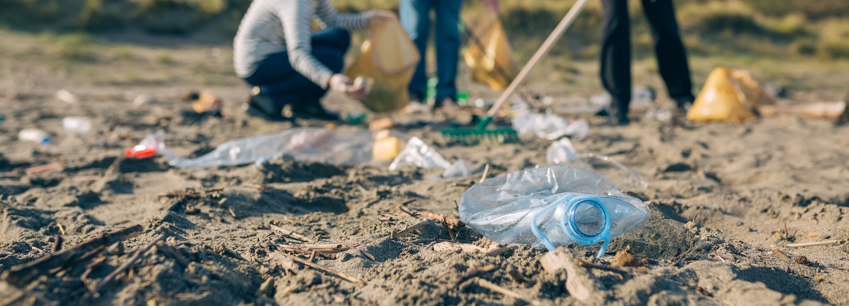 Volunteers Cleaning the Beach